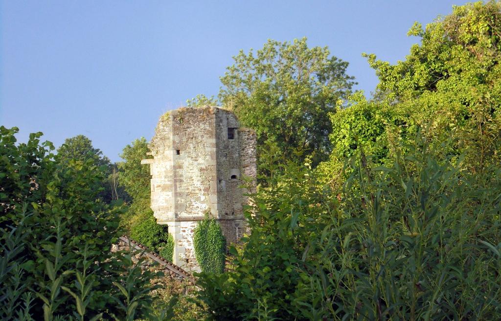 Chateau De La Chasse-Guerre Bed and Breakfast Hardanges Eksteriør billede