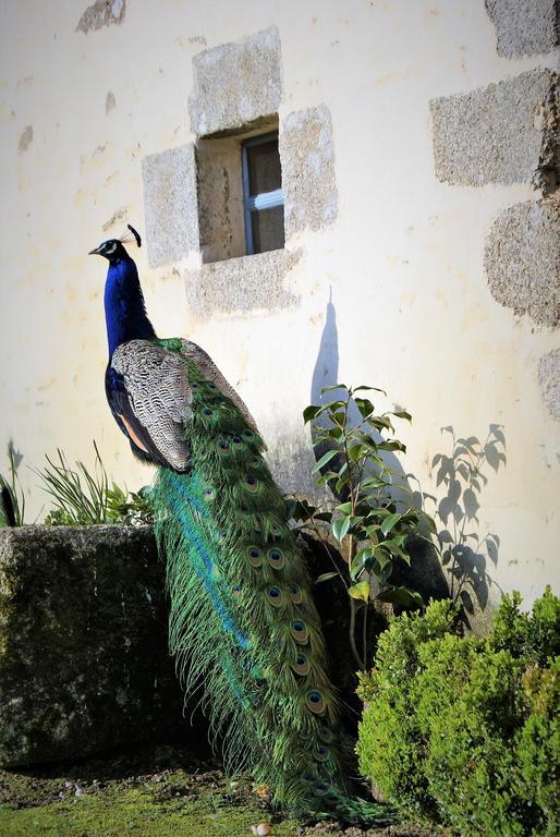 Chateau De La Chasse-Guerre Bed and Breakfast Hardanges Eksteriør billede