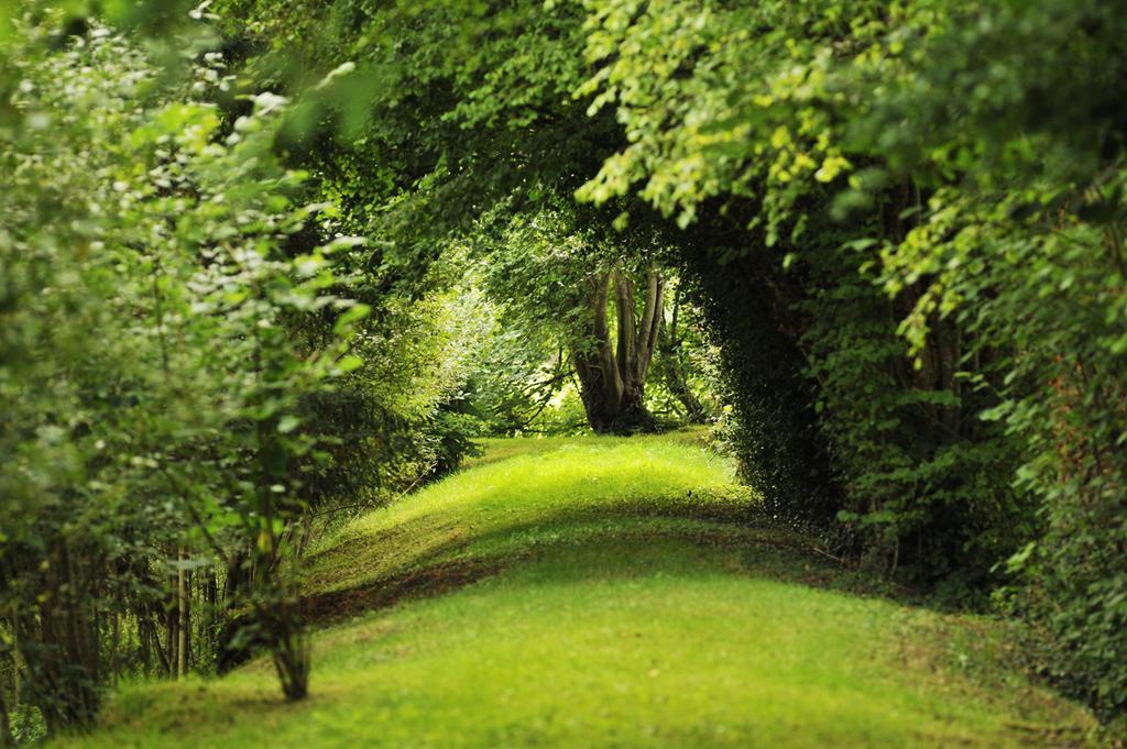 Chateau De La Chasse-Guerre Bed and Breakfast Hardanges Eksteriør billede